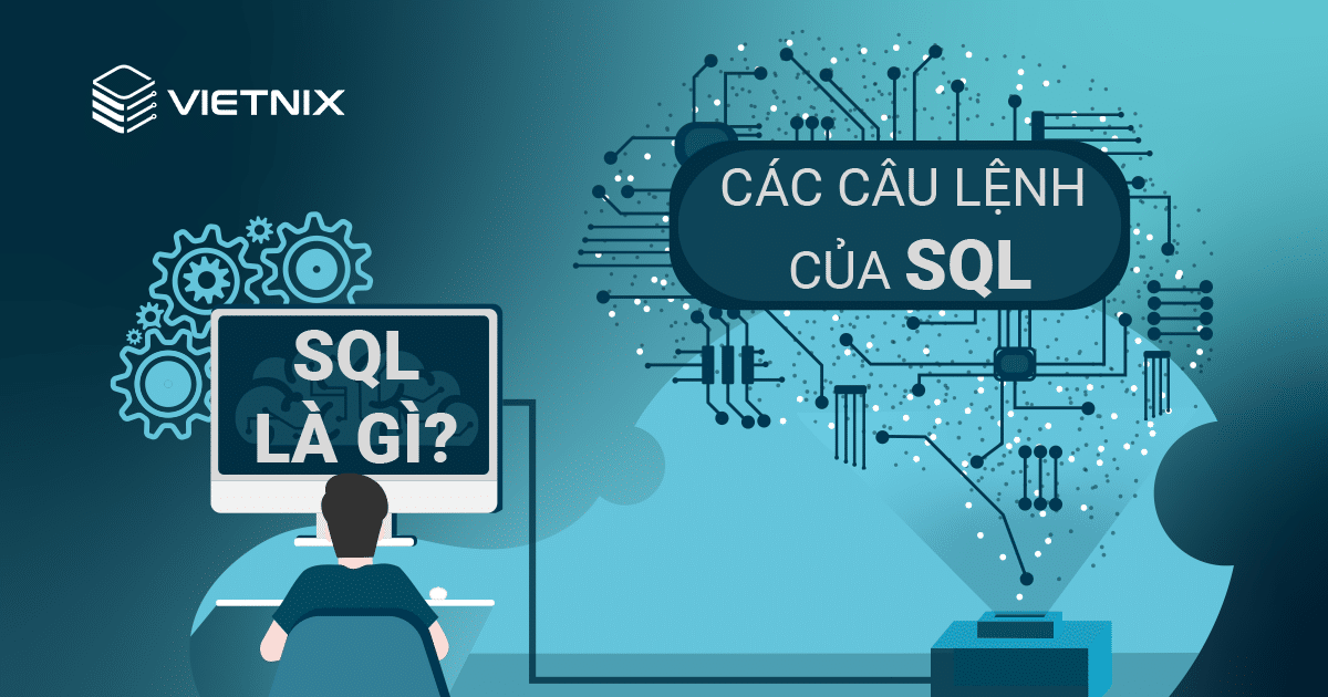 Các lệnh SQL cơ bản phải biết khi sử dụng SQL database là gì?
