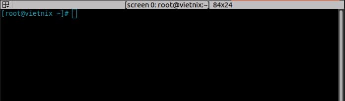 screen linux