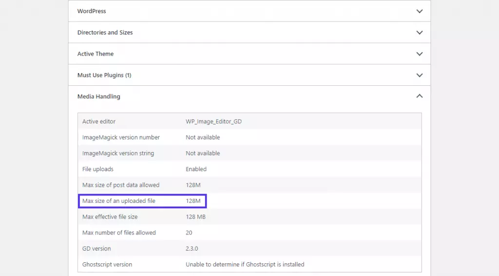 kiểm tra max size of an upload file trong health site info