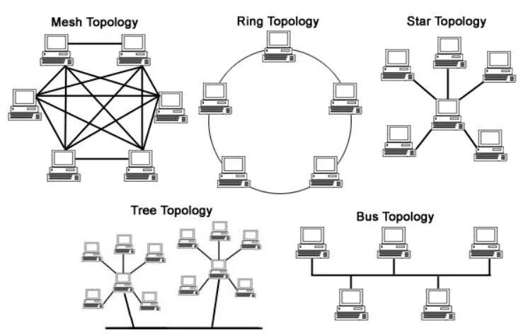 Cấu trúc liên kết Network theo các dạng hình học
