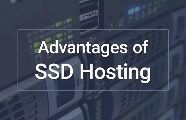 Ưu nhược điểm của SSD Hosting là gì?
