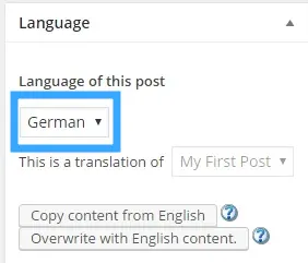 WPML là gì? Cách tạo một Website đa ngôn ngữ với WPML 44 Hỗ trợ chuyển đổi ngôn ngữ với WPML