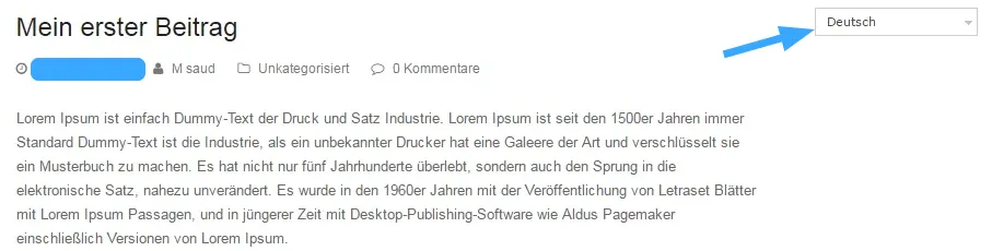 WPML là gì? Cách tạo một Website đa ngôn ngữ với WPML 47 Website tiếng Đức sau khi đổi ngôn ngữ bằng WPML
