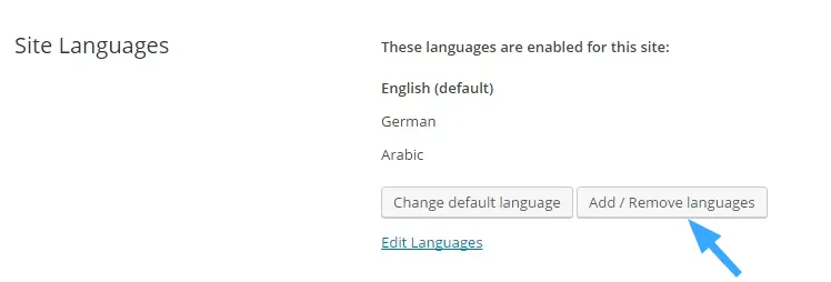 WPML là gì? Cách tạo một Website đa ngôn ngữ với WPML 48 Thêm ngôn ngữ Ả Rập băng WPML