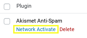 Sử dụng Network Activate để kích hoạt plugin