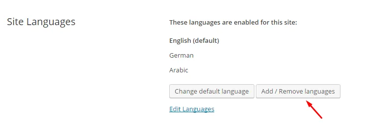 Thêm ngôn ngữ Ả Rập băng WPML