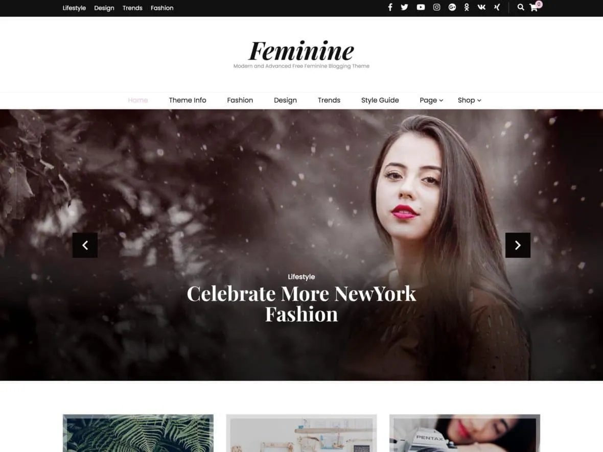 Theme thời trang cho WordPress - Blossom Feminie