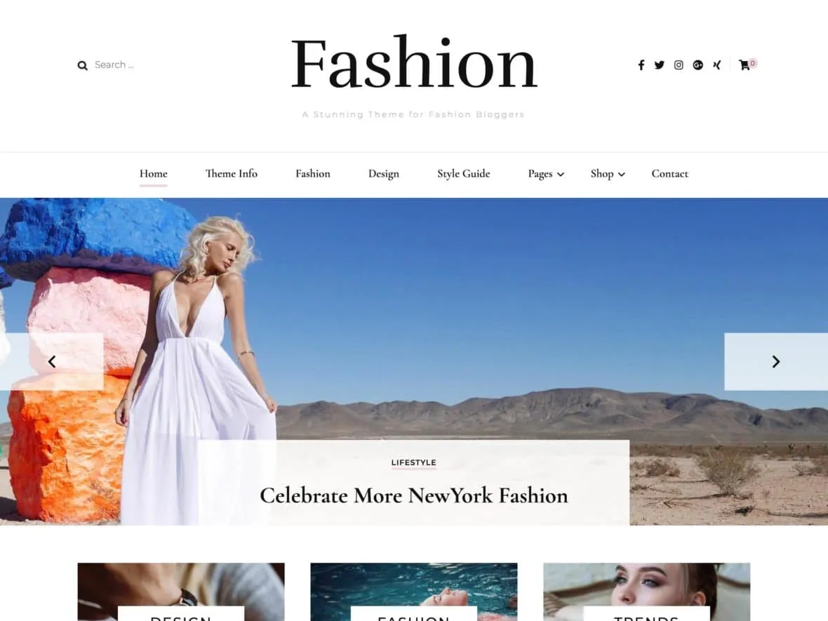Theme thời trang cho WordPress - Blossom Fashion