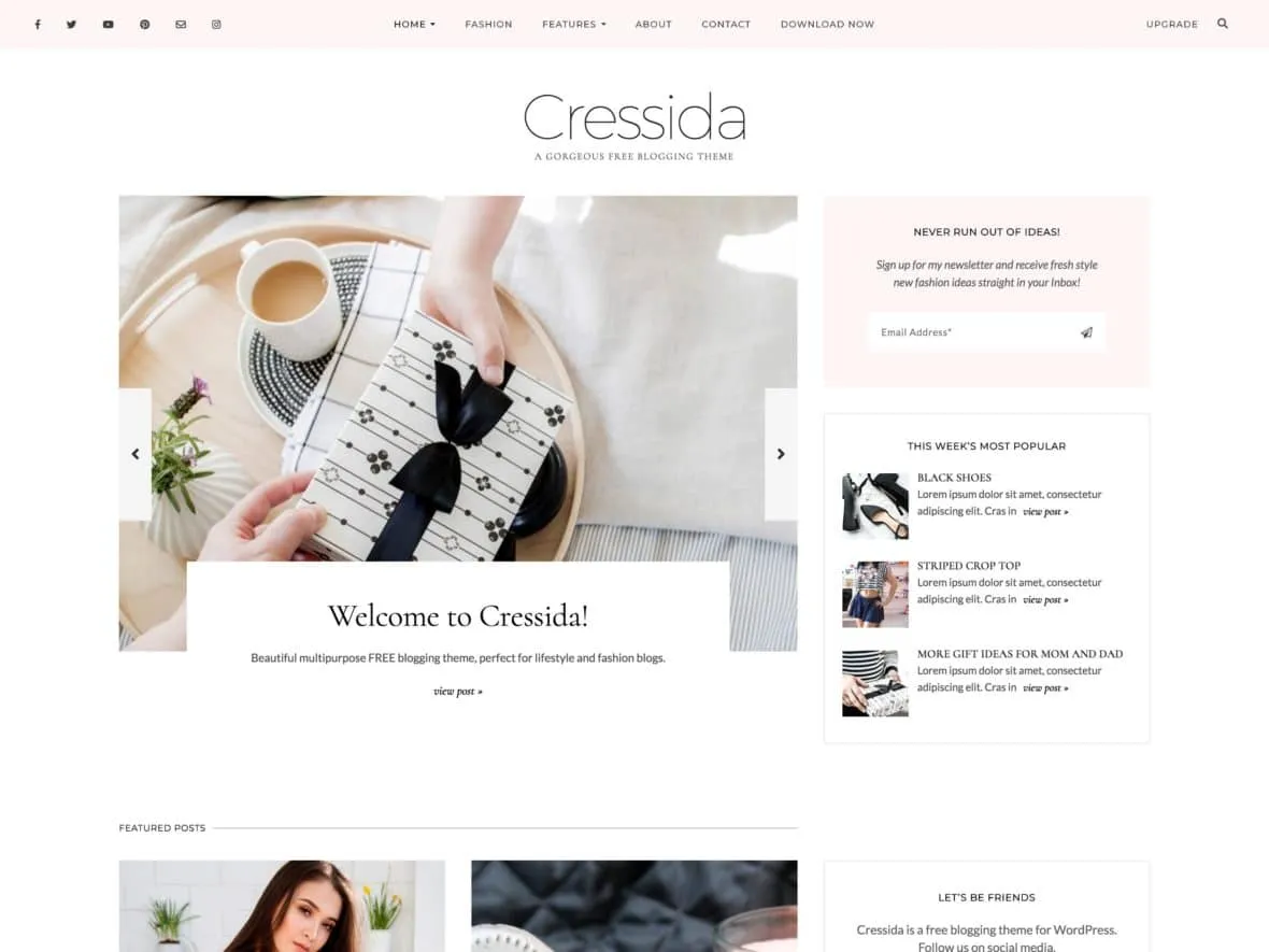 Theme thời trang cho WordPress - Cressida