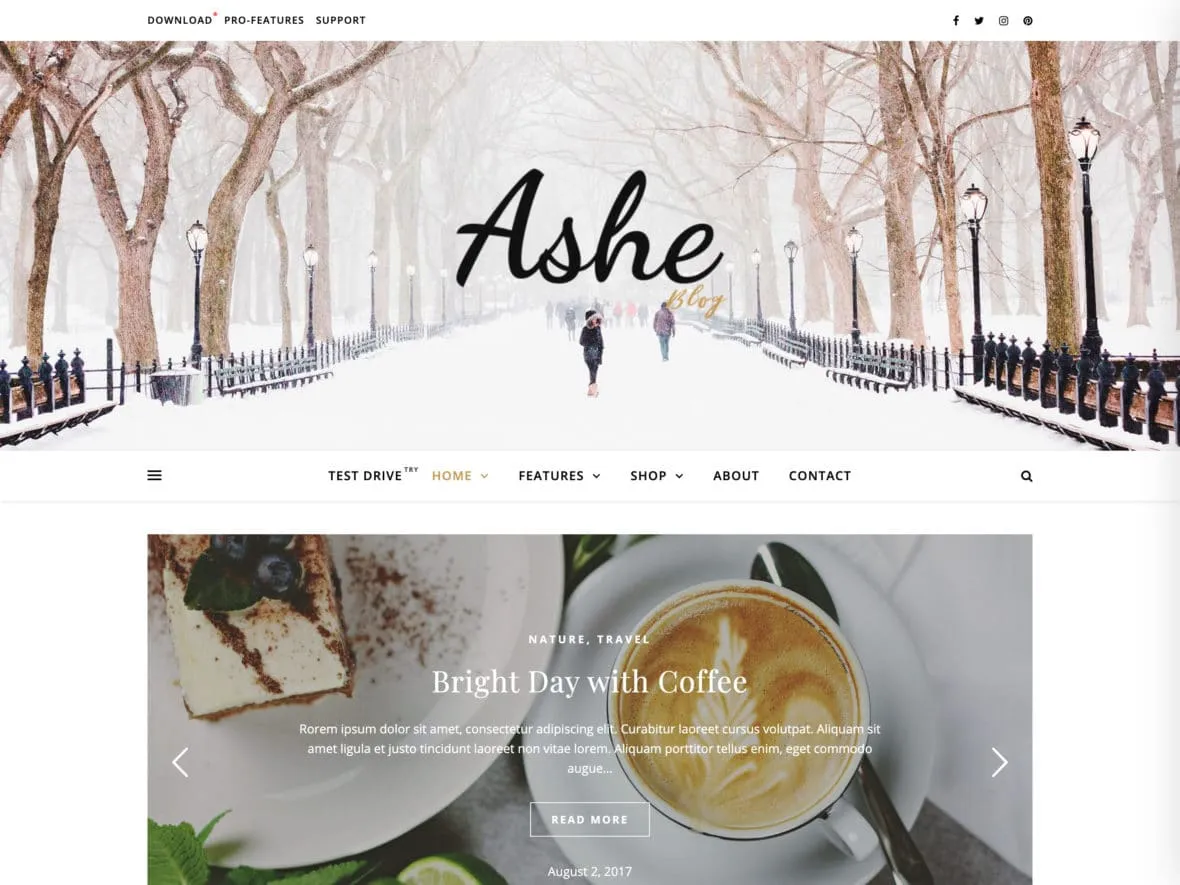 Theme thời trang cho WordPress - Ashe