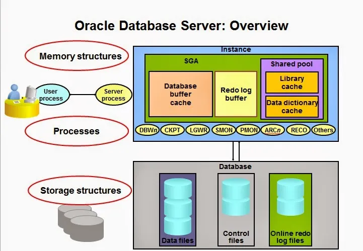 Kiến trúc cơ sở dữ liệu Oracle