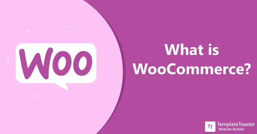 Plugin WooCommerce là gì?