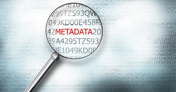 Cách quản lý Metadata
