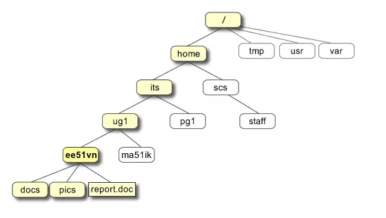 Cấu trúc của Unix