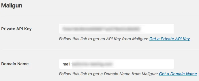 Copy API Key trong Control Panel của MailGun rồi dán vào phần Private API Key 