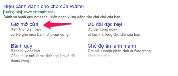 Google Ads là gì? Cách tối ưu chi phí chạy quảng cáo Google Adwords 31 Phần mở rộng quảng cáo Google Ads