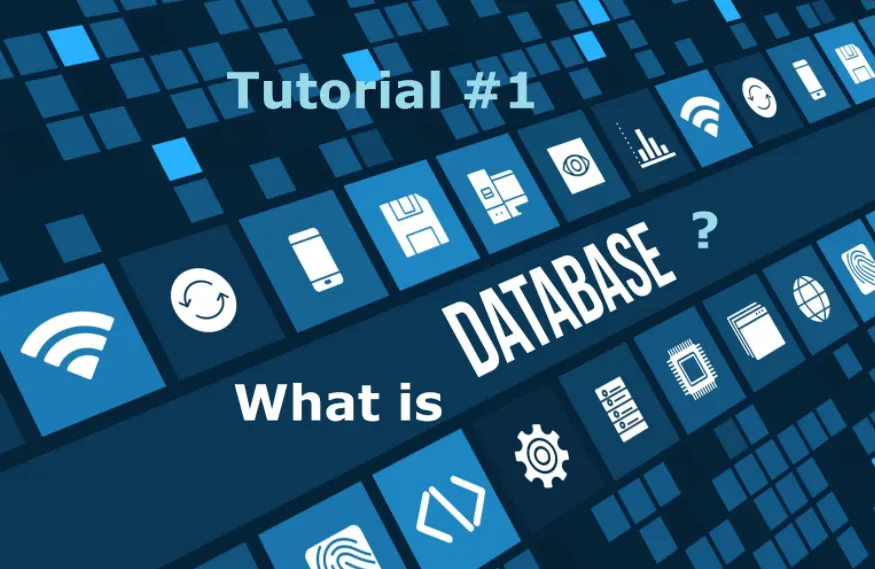 Database Hosting là gì?
