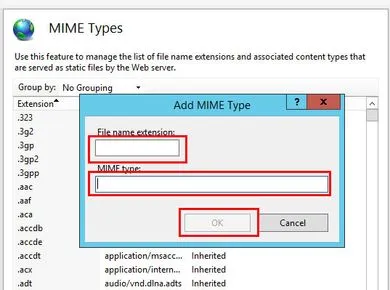 Nhập file name extension tương ứng vào Mime type