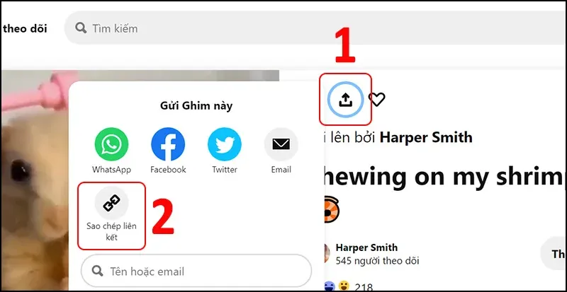 cach luu video clip pinterest tren dien thoai android