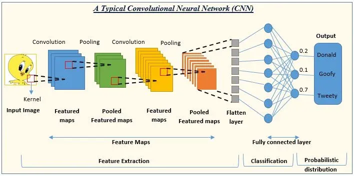 eNews  Sơ lược về mạng Convolutional Neuron Network
