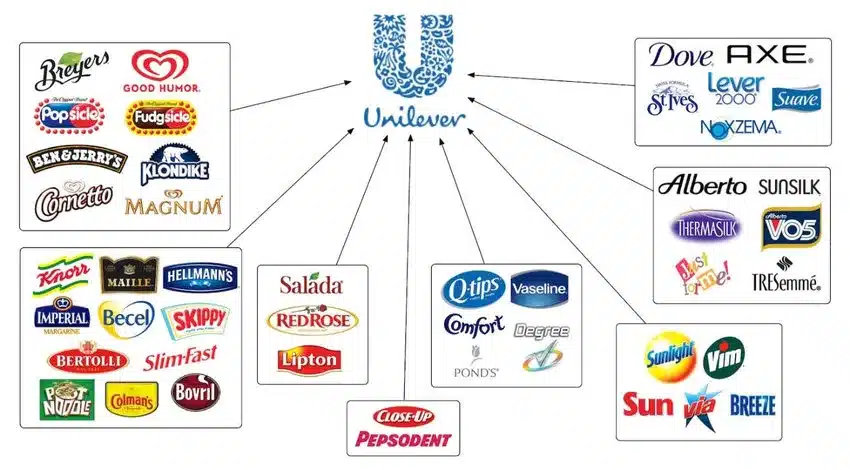 Unilever là ví dụ điển hình về SBU