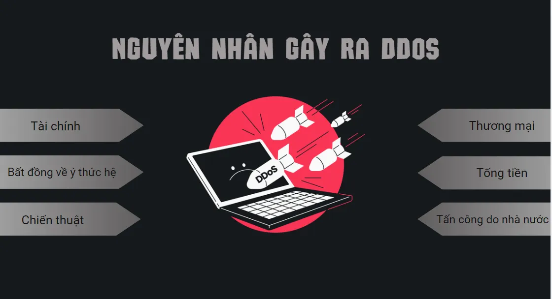 DDoS là gì? Hướng dẫn nhận biết và các loại tấn công khi Server bị DDoS 55 Nguyên nhân dẫn đến tấn công DDoS