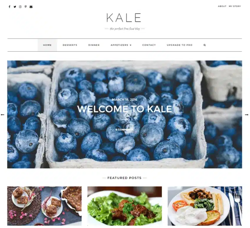 Theme WordPress Kale