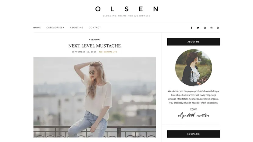 Theme WordPress Olsen Light