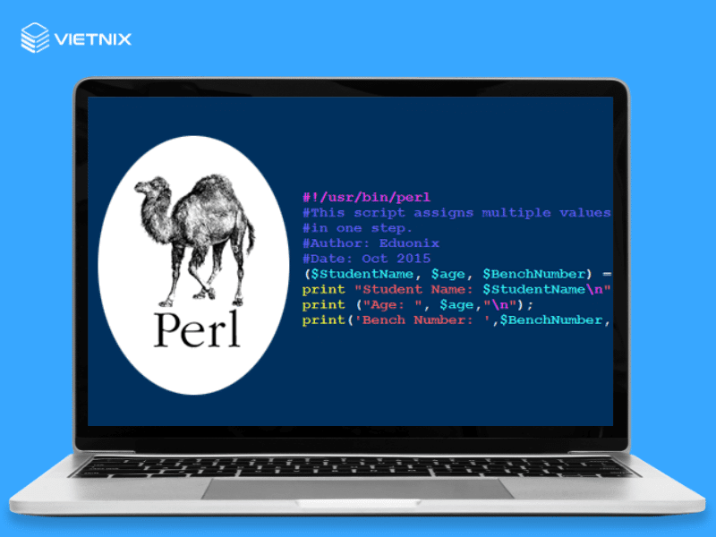 Perl là gì?