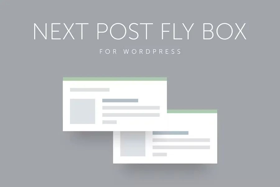 Next Post Fly Box