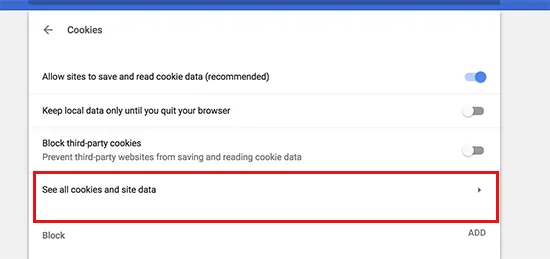 See all cookie and site data