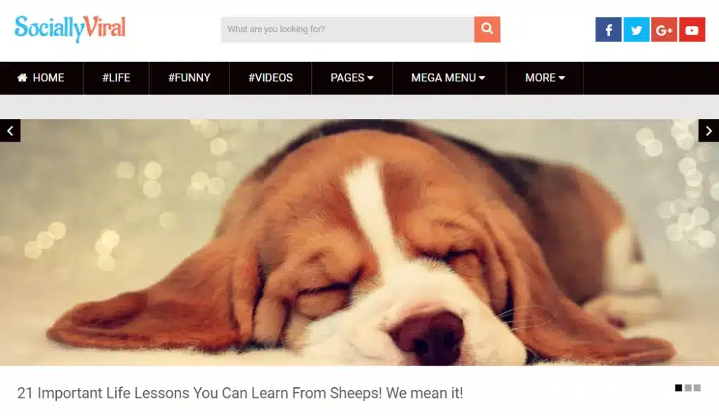 SociallyViral - Theme blog WordPress tốt nhất để làm tin tức xã hội