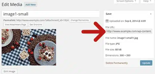 Coppy File URL