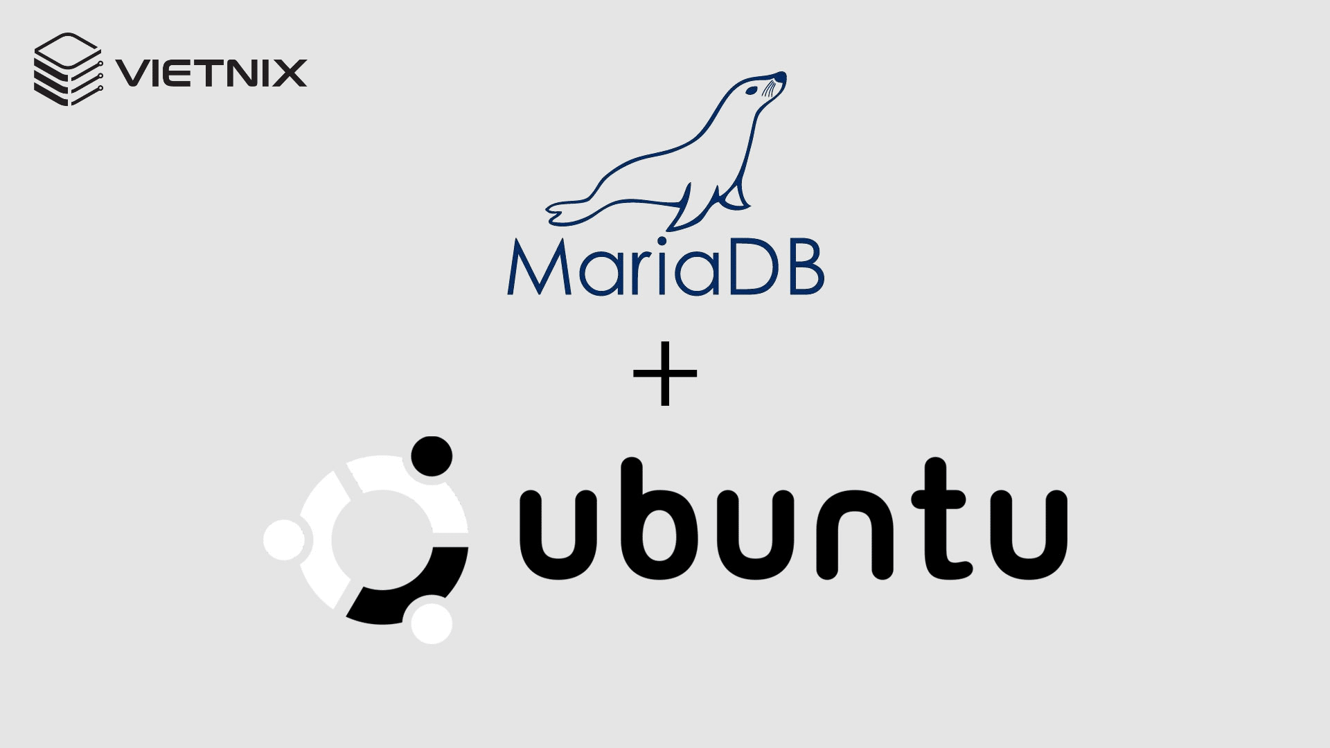 H ng D n S D ng V C i t MariaDB Tr n Ubuntu 20 04