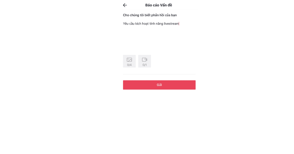Gửi yêu cầu cho TikTok