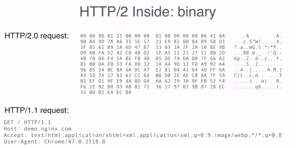 HTTP/2 truyền tải dữ liệu qua dạng nhị phân