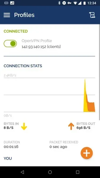 Kết nối Profiles với OpenVPN