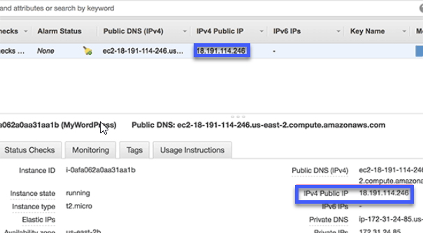 Hướng dẫn cách cài đặt WordPress trên Amazon Web Services 25 Địa chỉ công khai IPv4