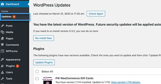 Cập nhật WordPress Core, Plugins và Themes