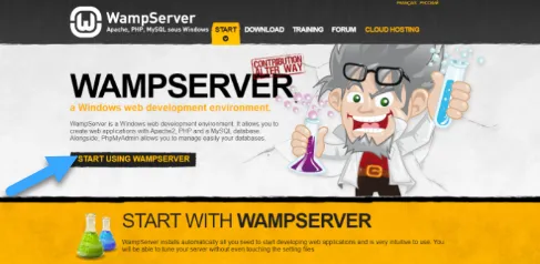 Hướng dẫn 2 cách để tải WordPress trên máy tính Windows cực chi tiết 57 Trang web WampServer