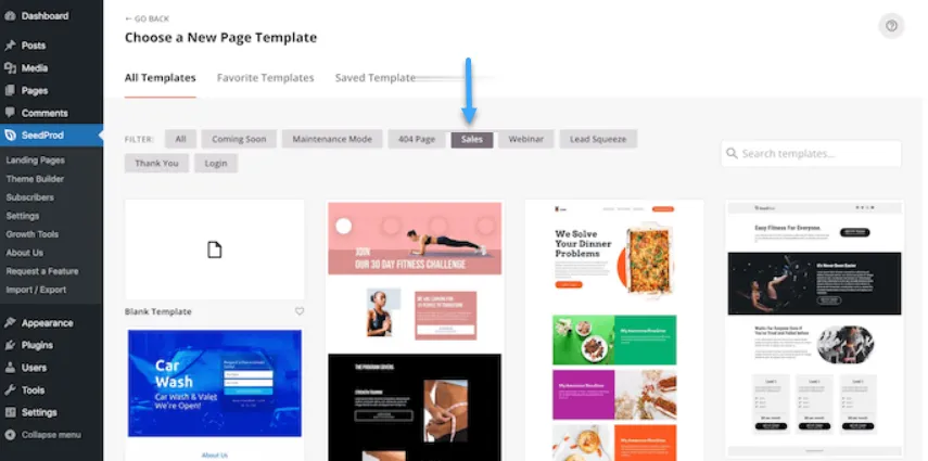 Cách thêm hiệu ứng CSS đơn giản trong Wordpress 42 Chọn theme SeedProd