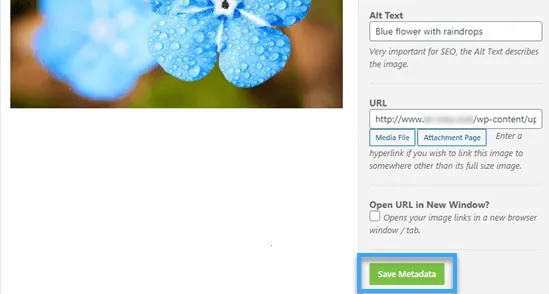2 cách đặt hình ảnh cạnh nhau trong WordPress dễ dàng 27 Nhấp vào button Save Metadata để hoàn thành