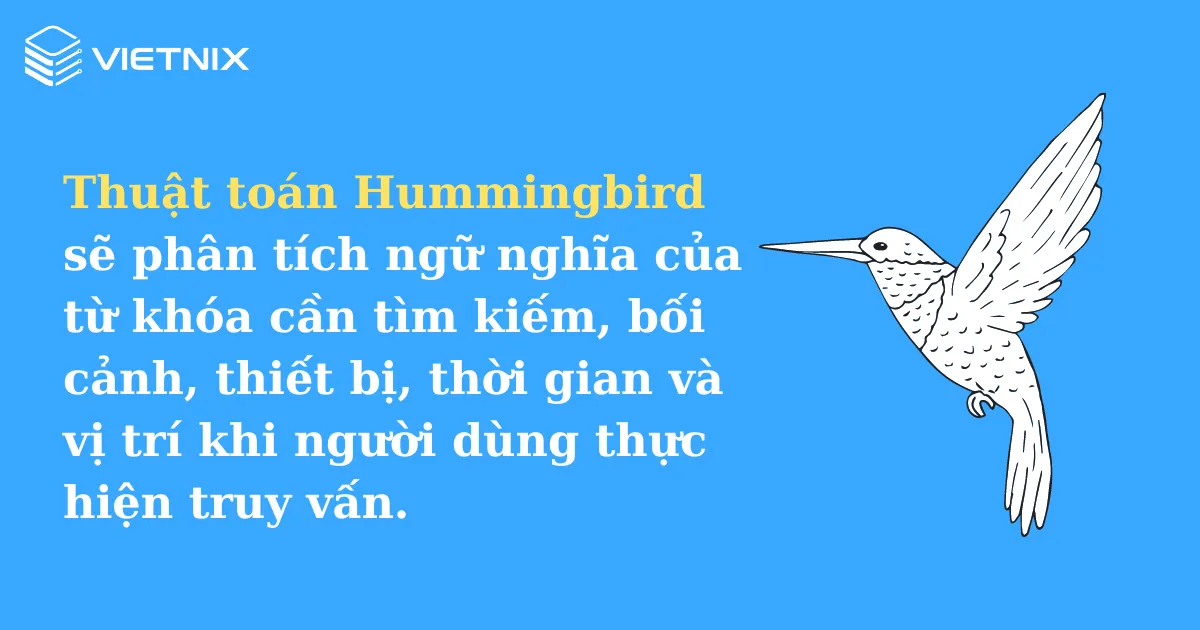 google hummingbird.png