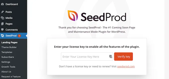 Cách thêm hiệu ứng CSS đơn giản trong Wordpress 40 Verify key cho SeedProd