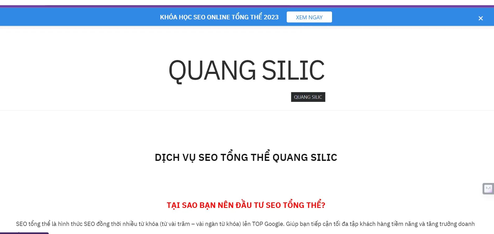 Top 10+ công ty SEO uy tín hàng đầu tại Việt Nam 45 Dịch vụ SEO tổng thể Quang Silic