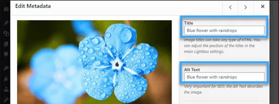 2 cách đặt hình ảnh cạnh nhau trong WordPress dễ dàng 26 Có thể thay đổi tiêu đề và alt hình ảnh