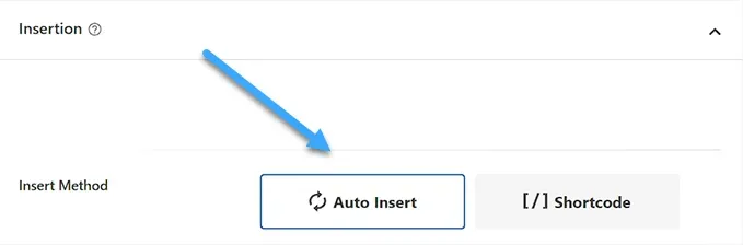 Cách thay đổi định dạng ngày và giờ trong WordPress đơn giản 22 Chọn Auto Insert và code sẽ được thực thi tự động