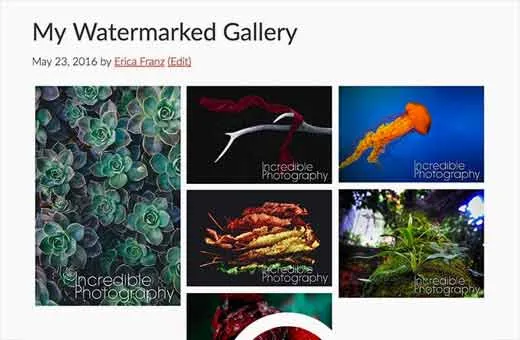 3 cách tự động thêm watermark vào hình ảnh đơn giản 19 Image gallery trong WordPress có watermark