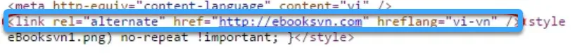 Thẻ hreflang là gì? Vai trò của thẻ hreflang trong SEO 31 Kiểm tra thẻ hreflang trong page sources