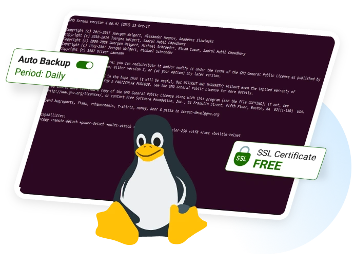 Banner Hosting Linux